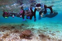 Snorkeling with sea turtles