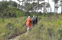 A Full Day Tour From Nha Trang To Da Lat Or Vice versa 