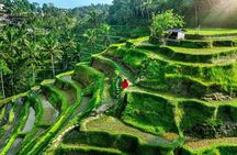 Private Full Day Tour in Ubud 