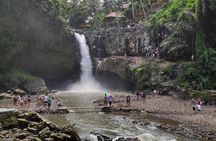 Private Full Day Tour in Ubud 