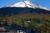 Mt. Fuji & Hakone Private Tour by Car with Licensed Guide