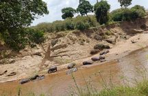 6 Days Private Jeep and Lodge, Maasai Mara, Nakuru, Amboseli