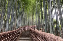 Private Kyoto with Exceptional Guide Tailored to Your Needs
