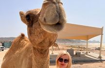 West Salalah Tour by VisitSalalah 