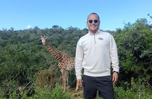 Addo Elephant National Park and Giraffe Walk Tracking Safari 
