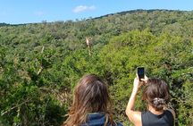 Addo Elephant National Park and Giraffe Walk Tracking Safari 