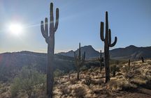 Guided Hike: Desert Copper Mile 