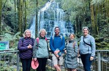 6-Days Discovery Tour of Tasmania - Comfort Style