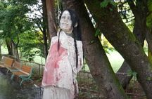 Private Haunted Spots Tour in Japan for the Bravest Ghost Hunters
