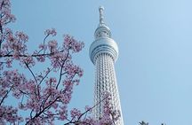 Best of Tokyo Private Tour English Driver &Customizable Itinerary