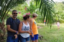Guided Naturalist Walk in Curu Wilderness Refuge