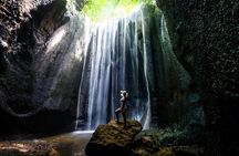 Bali Picture Perfect Instagram Tour (Private & All-Inclusive)