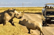 Shared Nairobi National Park Safari Tour