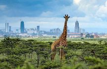 Shared Nairobi National Park Safari Tour