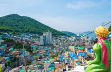 Cruise Layover to Busan City Private Car Day Tour 