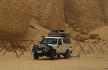 Private Tour To Fayoum Oasis and Wadi Al Rian From Cairo