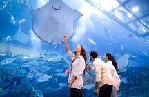 Burj Khalifa At the Top & Dubai Aquarium Combo Entrance Tickets