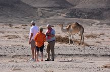 professional Star gazing in Marsa Alam