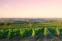  Côte de Nuits Half Day Wine Tour from Dijon