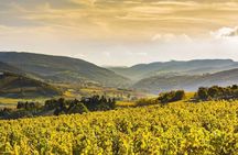  Côte de Nuits Half Day Wine Tour from Dijon