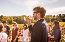 Premium Montserrat & Wine Full Day Tour from Barcelona