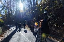 Trip to Cesky Krumlov from Prague