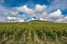 Burgundy Villages and Wine Tour from Dijon