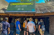 Guided Tour of the Victoria Falls