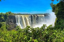 Guided Tour of the Victoria Falls