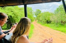 Yala National Park Safari Tours - Half Day & Full Day