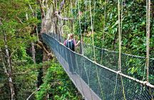From Kuala Lumpur Taman Negara Day Trip With Lunch