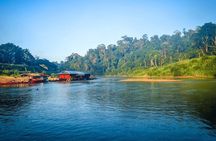 From Kuala Lumpur Taman Negara Day Trip With Lunch