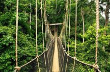 From Kuala Lumpur Taman Negara Day Trip With Lunch
