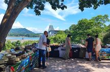 From Riu Playa Blanca Rio Hato: Panama Canal & City Tour