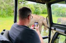 Yala National Park Safari Tours - Half Day & Full Day