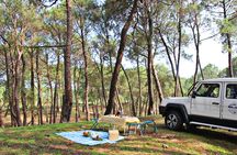 Jeep Safari and Picnic Tour
