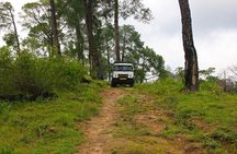 Jeep Safari and Picnic Tour