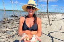 Private 4 Hour Shelling Adventure 10,000 Islands and Marco Island