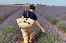 Provence Lavender Fields Tour from Aix-en-Provence
