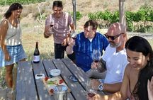 Priorat tour to 3 small wineries and hotel pick-up