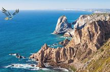 From CapeTown:To Chapman's Peak, Penguins Half -Day Tour 