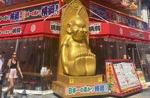 Allure of Osaka Walking Day Tour with a local guide 