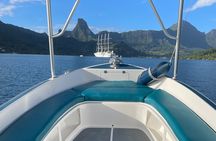 Moorea: Private Snorkeling Tour with Certify Guide