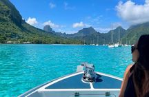 Moorea: Private Snorkeling Tour with Certify Guide