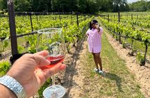NON BUS VIP GMC Yukon Traverse Old Mission Peninsula Wine Tour 