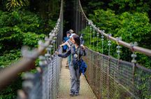 Mistico Park Hanging Bridges Guided Tour