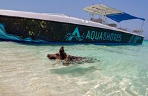 Bahamas Budget Adventure: Pigs, Snorkle, Turtles, and Beach