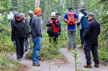 Denali Nature Hike