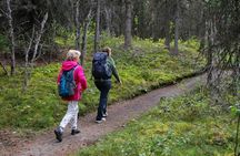 Denali Nature Hike
