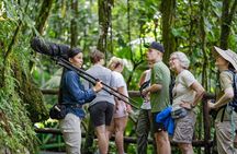 Mistico Park Hanging Bridges Guided Tour